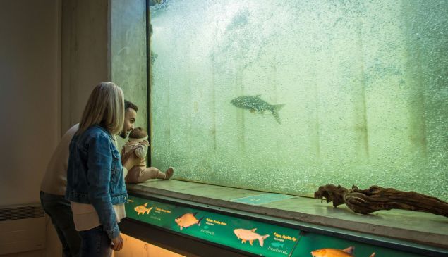 Offre promotionnelle à la Passe à Poissons de Gambsheim-Rheinau