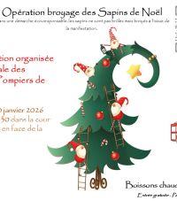 Collecte des sapins de Noël