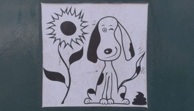 Rappel des règles concernant les déjections canines